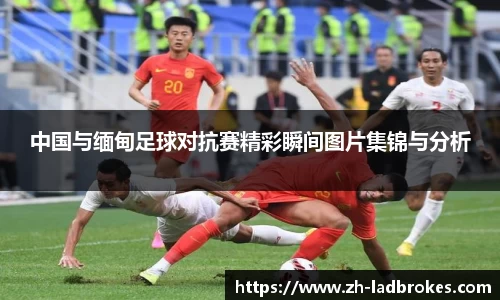 立博体育APP